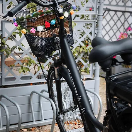 Transumare Casa de Férias