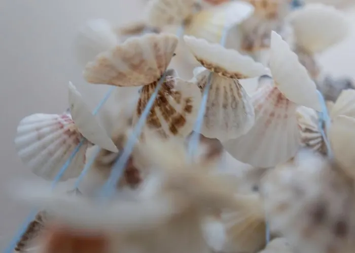 Transumare Vakantiehuis *